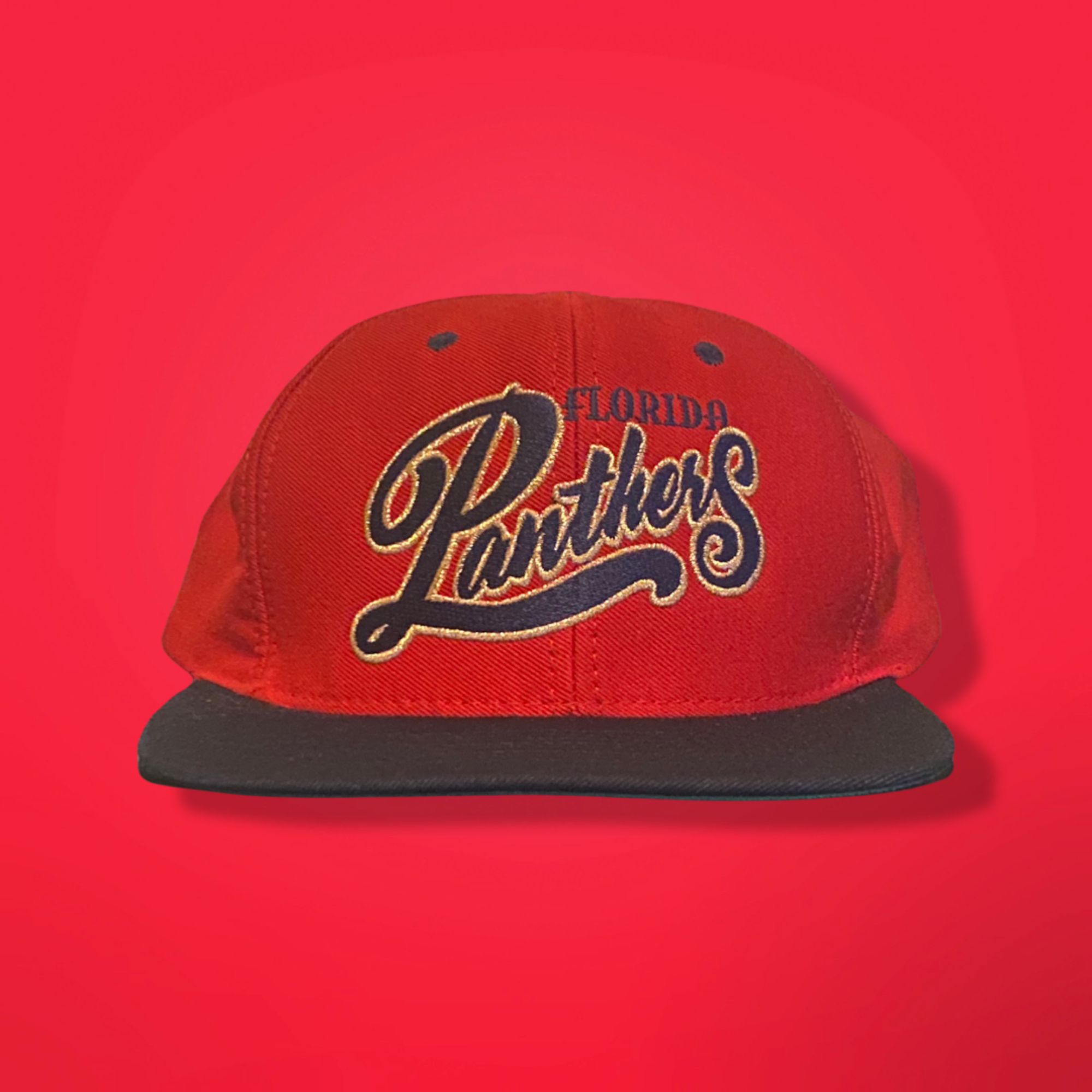 Florida Panthers 90’s NHL Hockey Snapback Hat by Pro Player